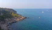 Trail Walking Leucate - franki plage - phare leucate - hommage aux pompiers de l'aude - Photo 6