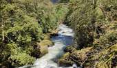 Trail Walking Goumois - Circuit du barrage de la Goule - Photo 20