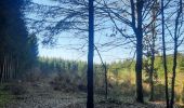 Trail Walking Bertrix - marche adeps biourge - Photo 1