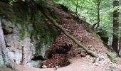 Excursión A pie Weinheim - Rundwanderweg Gorxheimertal 3: Eichelberg-Weg - Photo 9