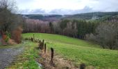 Tour Wandern Bouillon - Rochehaut 190323 - Photo 4