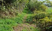 Randonnée Marche Chauffour-lès-Étréchy - Chauffour-lès-Etréchy Coteau des Verts Galants - Photo 3