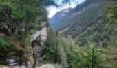 Trail Walking Kranjska Gora - pericnik excursion - Photo 1