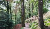 Randonnée Marche Bouillon - Promenade vers la Passerelle de l’épine  - Photo 6