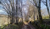 Trail Walking Kirchberg - Sommerseite 2023 - Photo 2