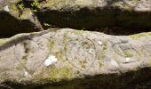 Trail Walking Saverne - Saverne : rocher Rappenfels - grotte St Vit - château Greifenstein - Photo 9