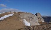 Trail Walking Saint-Agnan-en-Vercors - Montagne de Beure et But Sapiau - Photo 16