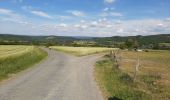 Tocht Elektrische fiets Wellin - Froidlieu Belvaux - Photo 2