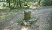 Trail Walking Saissac - le lampy - Photo 3