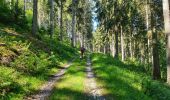 Tour Wandern Gedinne - Balade à Bourseigne-Neuve - Gedinne - Photo 3