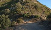 Tocht Noords wandelen Collioure - rando musclée  - Photo 2