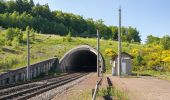 Tour Zu Fuß Willebadessen - Willebadessen Rundweg A7 - Photo 3