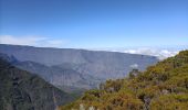 Tocht Stappen Salazie - Le km vertical - Photo 4