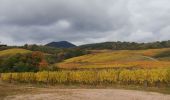 Randonnée Marche Epfig - entre forêt vigne et prairie  - Photo 2