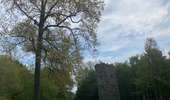 Trail Walking Mons - Abbaye de Saint-Denis et son vignoble (ADEPS) - Photo 14