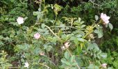 Randonnée Marche Blanzat - PLATEAU DE LA BADE - Photo 20