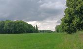 Randonnée Marche Esneux - parc du Mary. targnon . parc du Mary - Photo 13