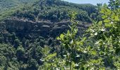 Excursión Senderismo L'Escale - L ESCALE . LES BALCONS DE LA DURANCE . O - Photo 6