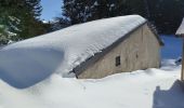 Tocht Sneeuwschoenen Saint-André - Maurienne - saint André - vallon de Polsey - Photo 7