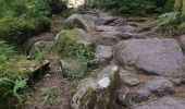 Randonnée Marche Gérardmer - GERARDMER ... le Saut de la Bourrique.  - Photo 2