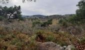 Trail Walking Saint-Senoux - Saint senoux - Photo 1