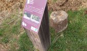 Trail Walking Valréas - borne papale  - Photo 6