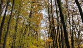 Tour Wandern Versailles - Vallée de la Bievre au départ de Versailles  - Photo 2