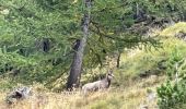 Excursión Senderismo Saint-Étienne-de-Tinée - Lacs de Vens - Photo 12