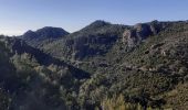 Trail Walking Fréjus - Autour du col des Sacs depuis Parking de la Colle Douce - Photo 2