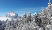 Trail Touring skiing Saint-Pierre-de-Chartreuse - arguille - Photo 12