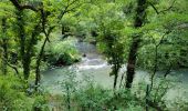 Excursión Senderismo Bras - A la rencontre du Cauron et de l'Argens - Photo 18