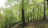 Percorso A piedi Schriesheim - Rundwanderweg Großer Stein 3: Um den Wendenkopf - Photo 1