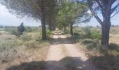 Excursión Senderismo Homps - CC_Piemont_AD_04_Homps_St-Frichoux_20240614 - Photo 8