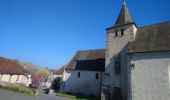 Trail Walking Azay-sur-Indre - Azay-sur-Indre - GR46 PR Chambourg-sur-Indre - 18.2km 200m 2h55 (23mn) - 2021 03 06 - Photo 1