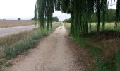 Tour Wandern Boadilla del Camino - Villalcazar de Siga - Photo 1