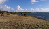 Trail Walking Le Marin - L'oeil bleu aller-retour  - Photo 1