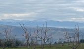 Trail  Saint-Uze - Rando des potiers St uzes 2025 - Photo 8