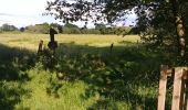 Tour Wandern Trémaouézan - Tremaouézan, tourbière et zone humide de Langazel - Photo 1