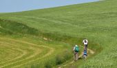 Tour Wandern Saint-André-la-Côte - Le signal - Photo 4