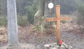 Percorso Marcia Waimes - botrange . baraque Michel longeant la fagne wallonne . Retour via croix des fiancés.  pont bleu.  fagne de polleur . station météo Mont rigide  - Photo 11