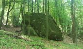 Tour Zu Fuß Horn-Bad Meinberg - Themenweg M 