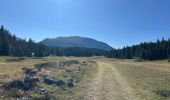 Tour Wandern Saint-Agnan-en-Vercors - Grand Veymont face ouest  - Photo 2