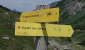 Trail On foot Untertauern - Umrundung Sonntagkarhöhe - Photo 6