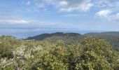 Trail Walking Hyères - Tour de l’île de Port Cros - Photo 4