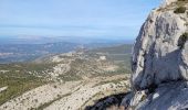 Excursión Senderismo Gémenos - le baou de Bertagne au départ du col de l'Espigoulier  - Photo 10