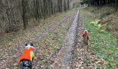 Randonnée Marche Léglise - Bombois - Photo 7