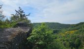 Trail Walking La Roche-en-Ardenne - A la découverte de Maboge 🥾 - Photo 6