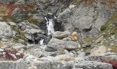 Excursión Senderismo Aussois - Du Plant Amont à la pointe de l'observatoire - Photo 11