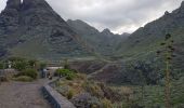 Tocht Trail San Cristóbal de La Laguna - Punta del Hidalgo - Chinamada - Punta del Hidalgo - Photo 3