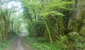 Tour Wandern Andenne - 20190702 Kevret - Photo 18